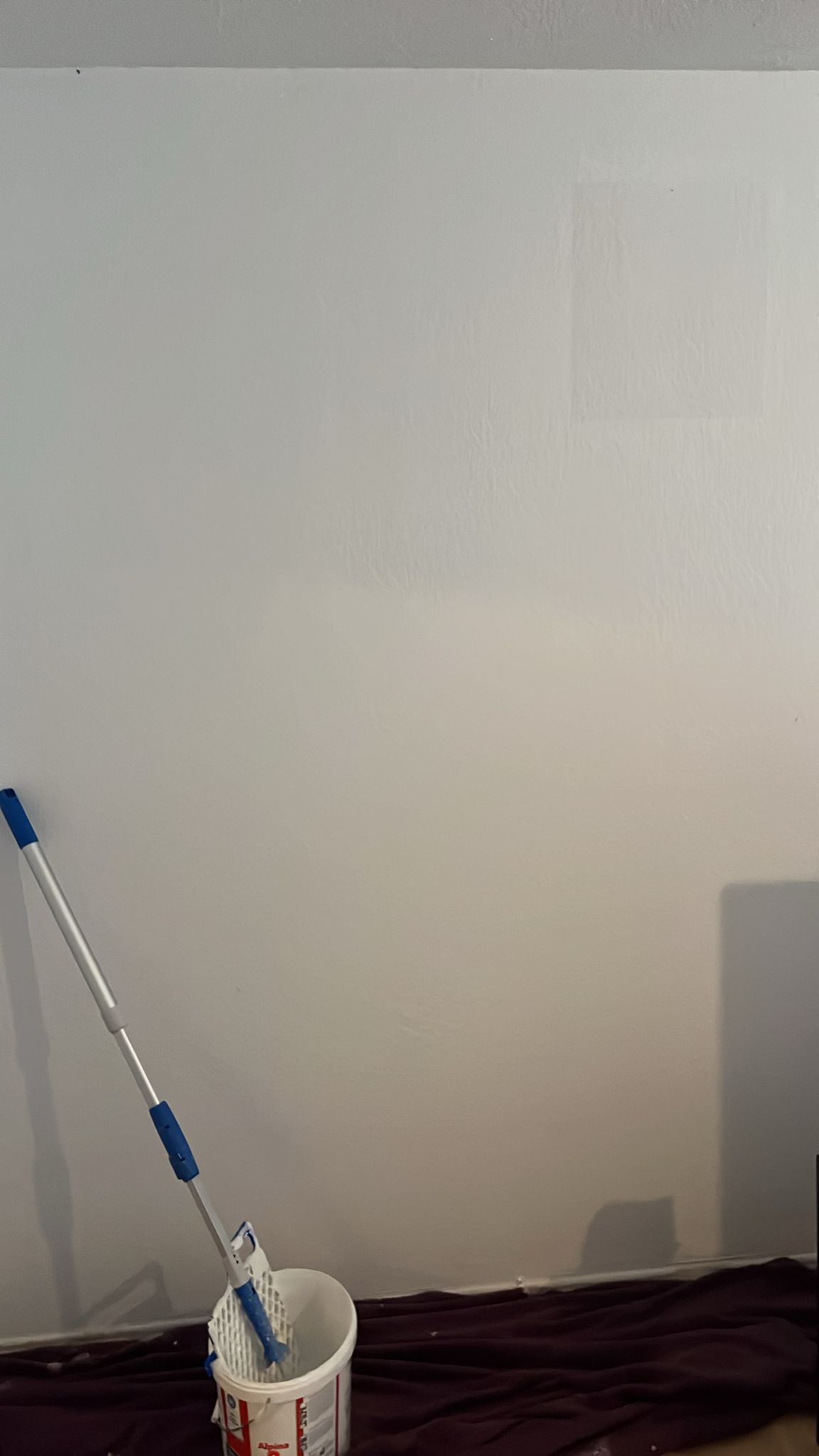 Frisch gestrichene Wand mit Farbrolle und Eimer